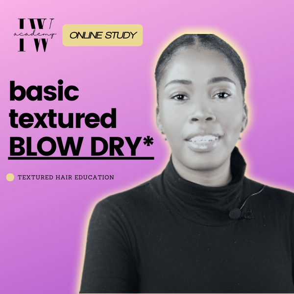 Basic Beginner Blow Dry* | Lifetime Access Online Study